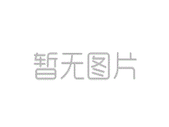 不安详鲁尼责任？布雷迪为伯明翰任命新的体能莳植和养分师